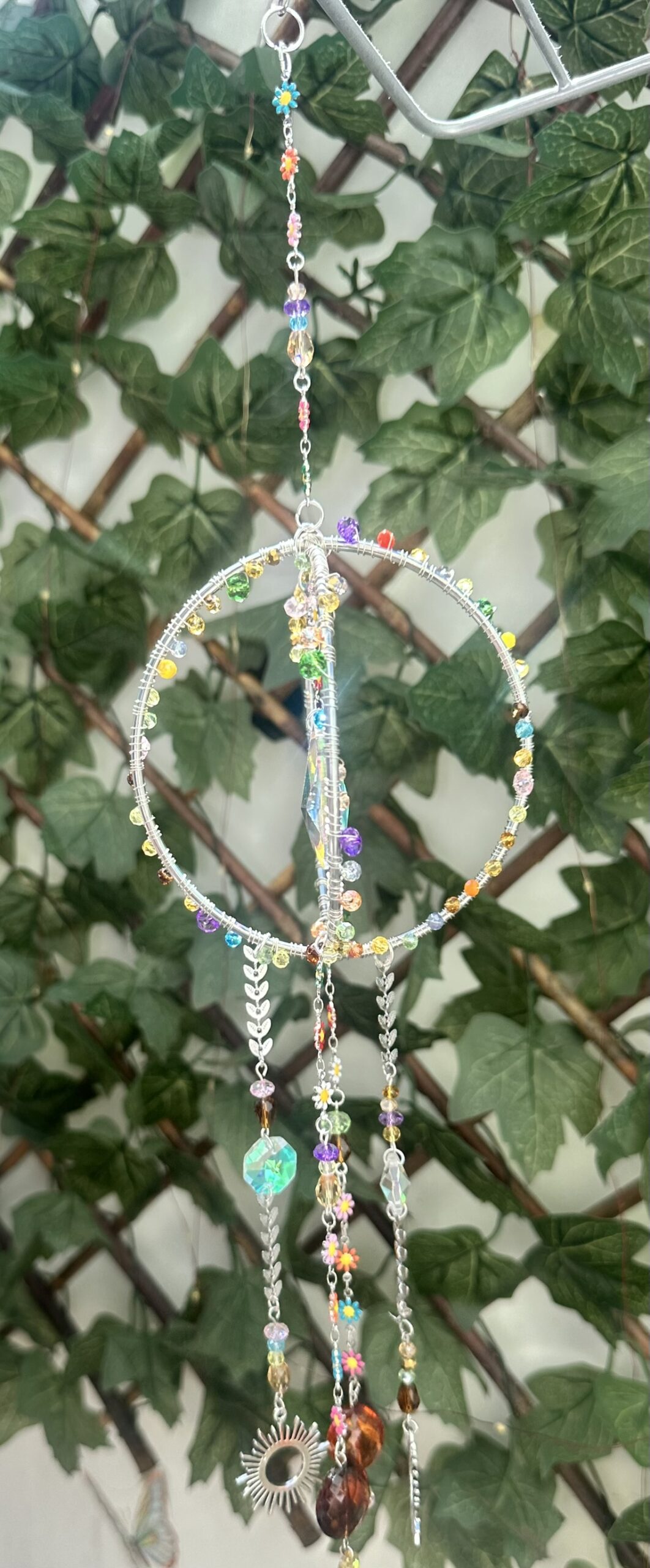 Rainbow Orbit
